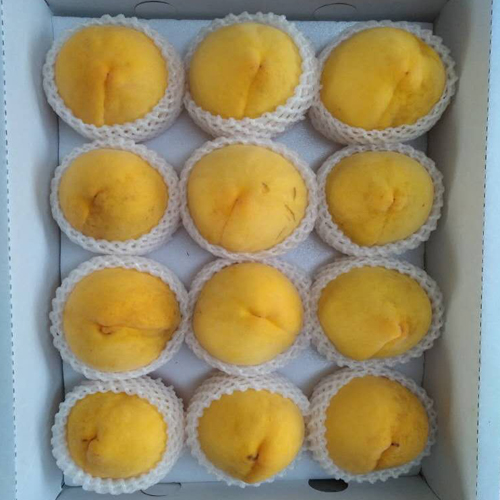 池州黄桃精品