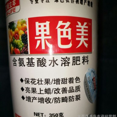 供应看着长 铁岭榛子膨大剂  铁岭榛子膨大肥  铁岭榛子膨胀剂  膨大效果明显  增加产量  提高品质  不软不裂