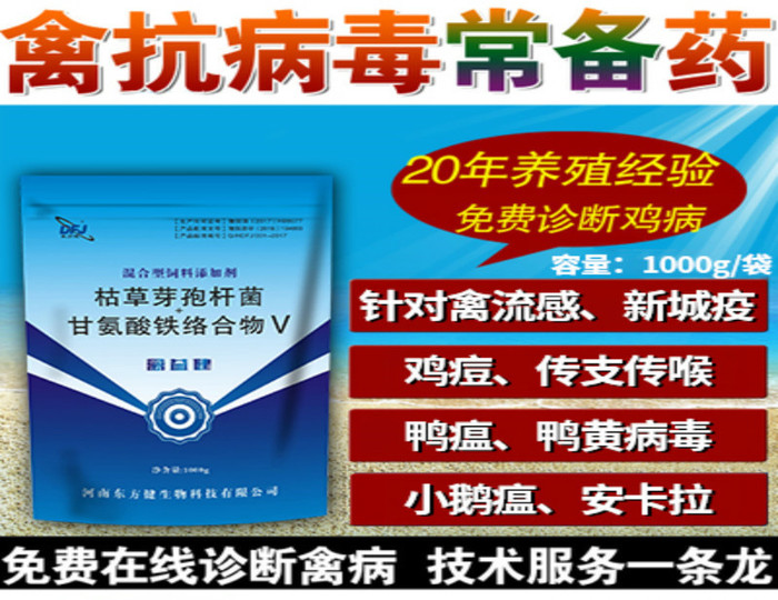 鸭子流感么治疗