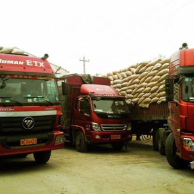 锦绣丰年牌花生种