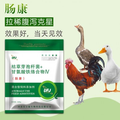 鸽子经常腹泻，鸽子腹泻怎么办，鸽子腹泻好治吗，