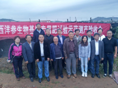 威海晋中市农业农村局 义务静态 “西洋参生物基质公用肥实验示范测产验收会”在威海晋中市农科院西洋参实验示范基地召开