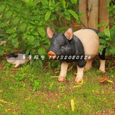 玻璃钢黑猪动物，玻璃钢公园动物雕塑