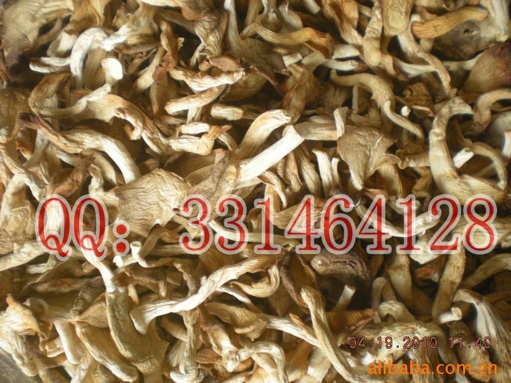 安徽特产 食用菌 香菇类 真姬菇 天柱山特产新品