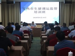 宝鸡：强化政策宣传培训  推进百日打击举动——宝鸡晋中市畜牧兽医中心展开生猪调运监管系列培训活动