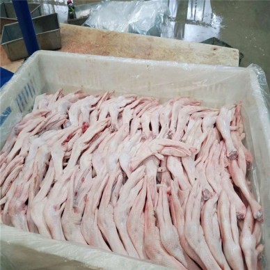 优质白条鹅厂家  白条鹅生产厂家 老鹅价格 鸭翅批发 肉鹅