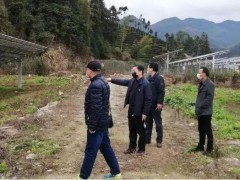 建基地 保供给 | 晋中市农业农村局赴政和县东平镇“光伏农业”项目点展开推进督导