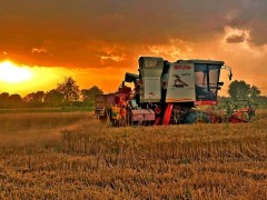 渭南：大荔三夏麦田秸秆回收变废为宝让群众尝到甜头