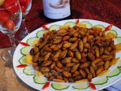 广安马蜂蜂蛹_广安胡蜂蜂蛹_广安大黄蜂蜂蛹_ 绿之美蜂业有限公司