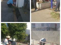 市农机学校展开“五爱”卫生安康大举动