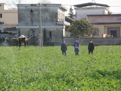 防疫情 抓田管 农技服务不松懈
