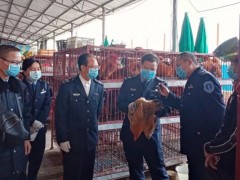 源头管控 助力抗疫——市水产畜牧兽医执法支队展开新冠肺炎疫情以及高致病性禽流感等严重植物疫病防控