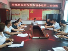 渭南：澄城县农村革新专项小组第二次会议召开