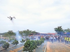 科技兴农促歉收