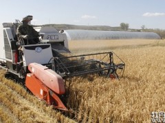 水稻收割接近序幕