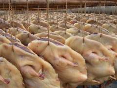 白沙油鸭 - 东莞特产