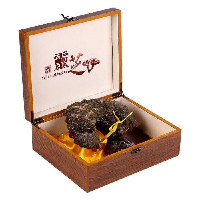 散装灵芝能买长白山灵芝灵芝冲水喝