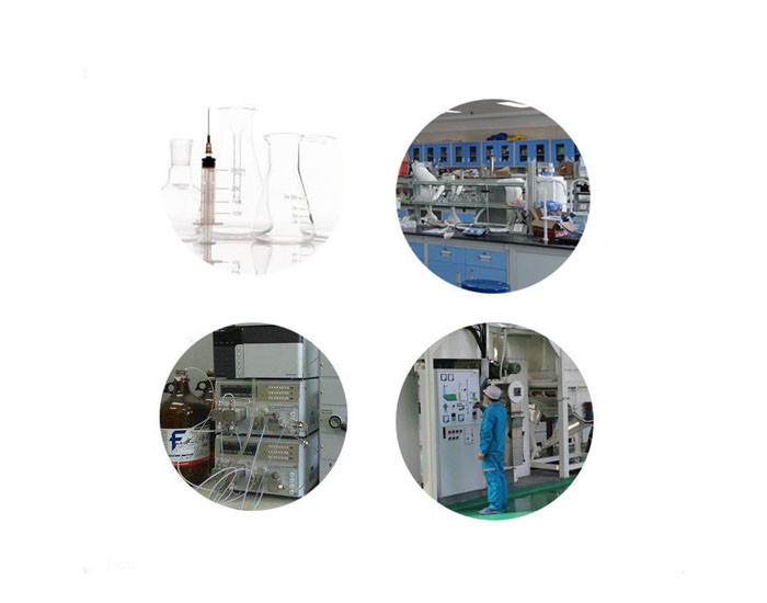 森杰生物  苦丁茶提取物  10:1  植物提取物