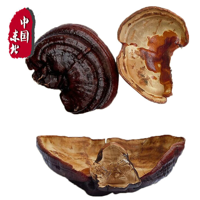 东北灵芝包邮长白山灵芝种类齐全灵芝包礼盒