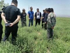 耀州：展开中药材技术培训，助力群众增收致富