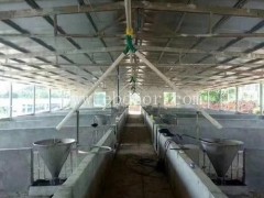 安阳猪自动料线多少钱“本信息长期有效”