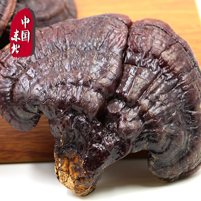 晚期可不可以吃灵芝正宗长白山灵芝肺灵芝好