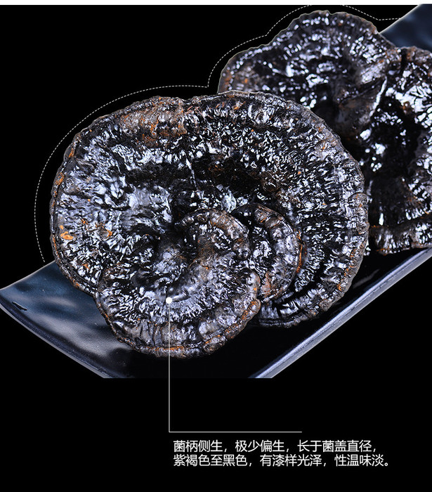 老年人吃灵芝好长白山灵芝片 灵芝 赤灵芝灵芝么的