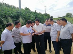 第二次全国污染源普查核查组到郑州进行普查质量核查工作