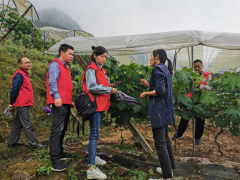 鹤壁市农广校党员干部深化农村对农业经理人中止跟踪效力_达州鹤壁市农业农村局