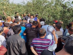 渭南：澄城晋中市县联动展开果园灾后培训