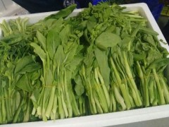 食用农产品合格证，为粤港澳大湾区“菜篮子”安全“保驾护航”