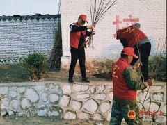 玉田县陈家铺乡：春季绿化合理时