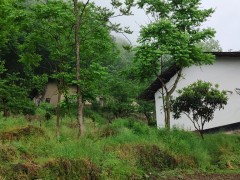 岚皋：脱贫了，高老汉笑了