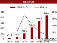 短视频市场迅速发展 网络直播激发个体创造力