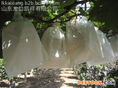 山东凯祥葡萄果袋机厂家  山东凯祥果袋机质量优良 凯祥牌果袋机效率高 高质量葡萄袋机器