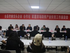 延川：农业农村局组织召开全县农业龙头企业、协作社、家庭农场助推产业扶贫义务座谈会