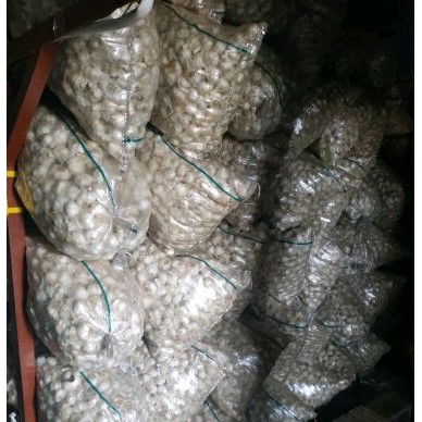 [供]苍山大蒜储存服务，库费低，可配资