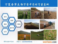 蜂胶提取物 蜂胶速溶粉 蜂胶浓缩粉 蜂胶粉