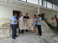 安康：晋中市蚕桑中心深化汉滨区调研春季蚕茧收购情况