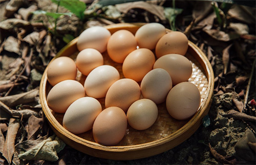 池州富苗土鸡蛋