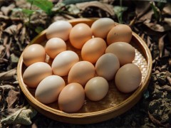池州富苗土鸡蛋