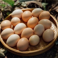池州富苗土鸡蛋