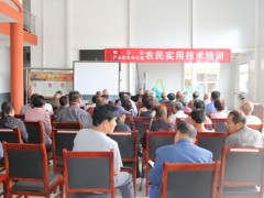 西安：鄠邑区展开葡萄技术培训，助力产业脱贫致富