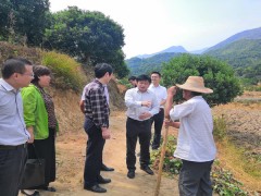 九江农业信息网,濂溪区：鼎力推进古代农业示范园建立