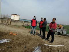 晋中市农科院科研人员赴临淄调研指点马铃薯播种