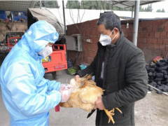 罗江区农业农村局多措并举恢复农业消费，助力抗疫阻击战