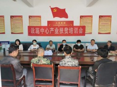 韩城：立足特征产业 做好产业扶贫大文章