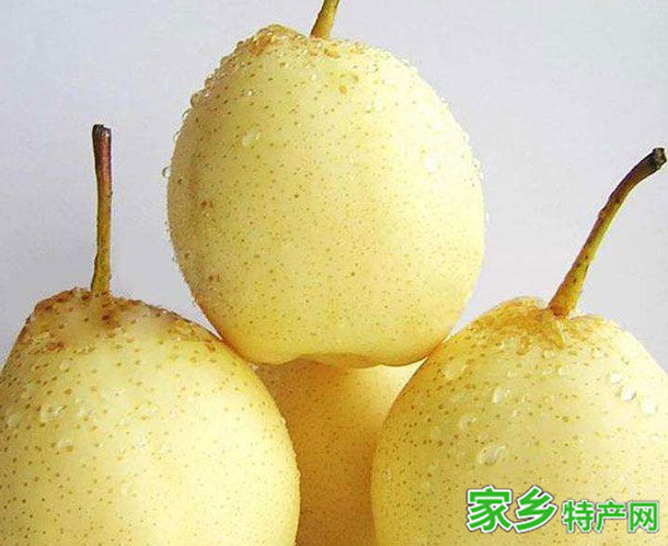 宿州特产砀山酥梨 -[宿州]砀山特产