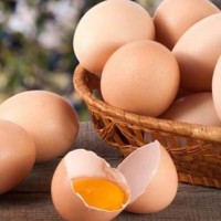 九华山土鸡蛋