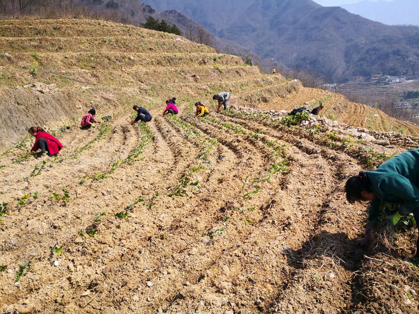 微信图片_20200305142035.jpg 微信图片_20200305142035.jpg